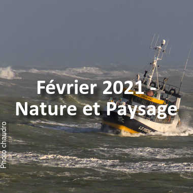 fotoduelo Février 2021 - Nature et Paysage