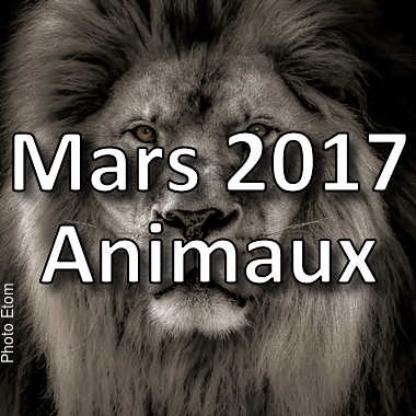 fotoduelo Mars 2017 - Animaux