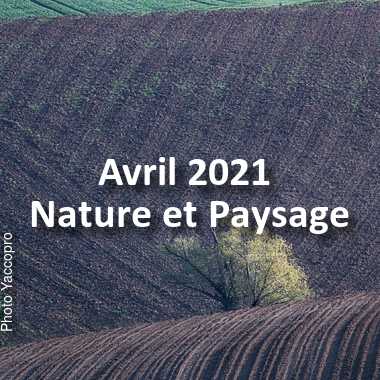 fotoduelo Avril 2021 - Nature et Paysage