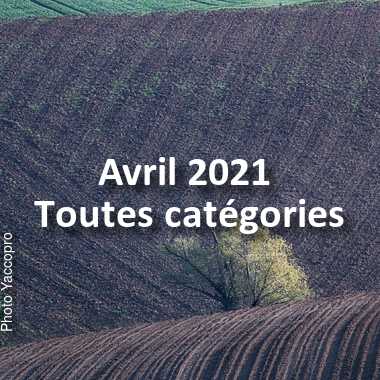 fotoduelo Avril 2021 - Toutes catégories