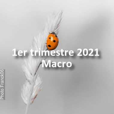 fotoduelo 1er trimestre 2021 - Macro