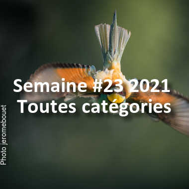 fotoduelo Semaine #23 2021 - Toutes catégories
