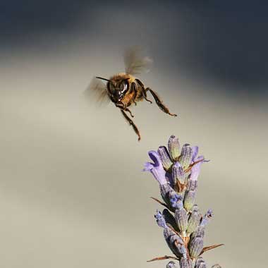 fotoduelo Semaine #27 2021 - Toutes catégories