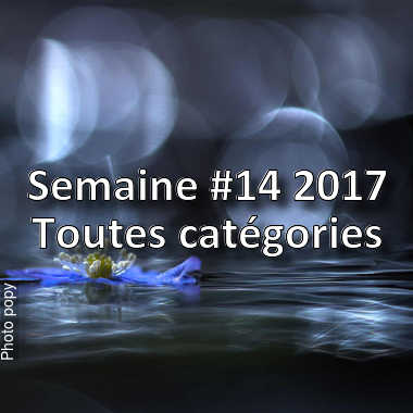 fotoduelo Semaine #14 2017 - Toutes catégories