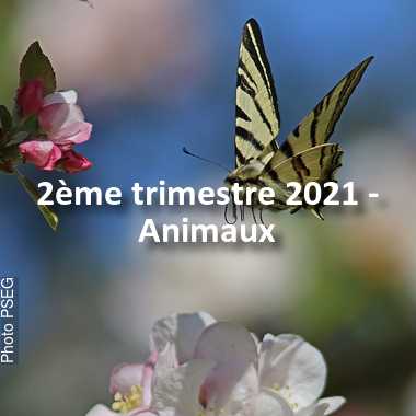 fotoduelo 2ème trimestre 2021 - Animaux
