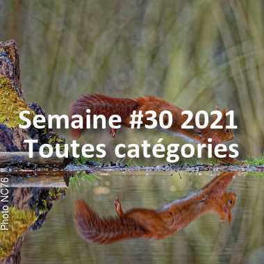 fotoduelo Semaine #30 2021 - Toutes catégories
