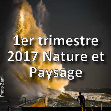 fotoduelo 1er trimestre 2017 - Nature et Paysage