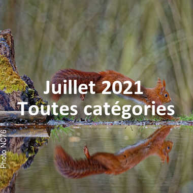 fotoduelo Juillet 2021 - Toutes catégories