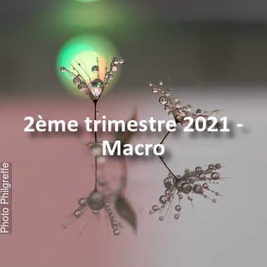 fotoduelo 2ème trimestre 2021 - Macro