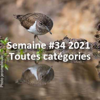 fotoduelo Semaine #34 2021 - Toutes catégories