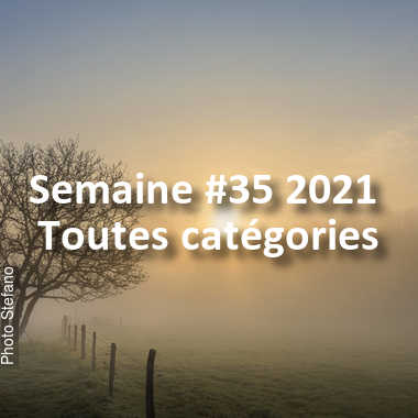 fotoduelo Semaine #35 2021 - Toutes catégories
