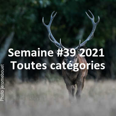 fotoduelo Semaine #39 2021 - Toutes catégories