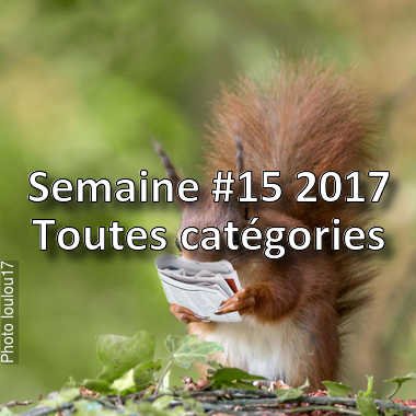 fotoduelo Semaine #15 2017 - Toutes catégories