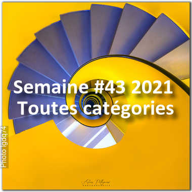 fotoduelo Semaine #43 2021 - Toutes catégories