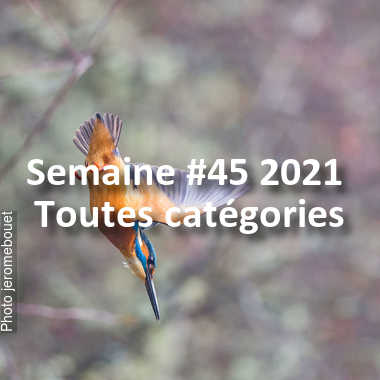 fotoduelo Semaine #45 2021 - Toutes catégories