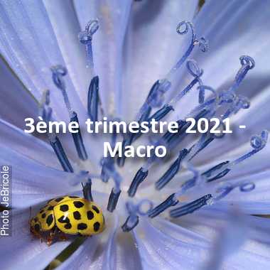 fotoduelo 3ème trimestre 2021 - Macro