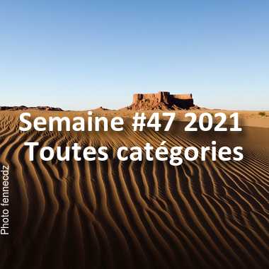 fotoduelo Semaine #47 2021 - Toutes catégories