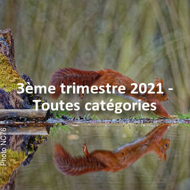 fotoduelo 3ème trimestre 2021 - Toutes catégories