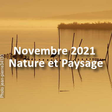 fotoduelo Novembre 2021 - Nature et Paysage