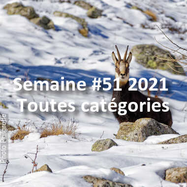 fotoduelo Semaine #51 2021 - Toutes catégories