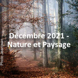 fotoduelo Décembre 2021 - Nature et Paysage
