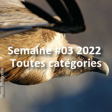 fotoduelo Semaine #03 2022 - Toutes catégories