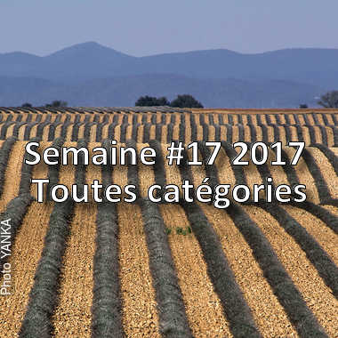 fotoduelo Semaine #17 2017 - Toutes catégories