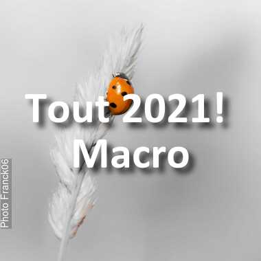 fotoduelo Tout 2021! - Macro