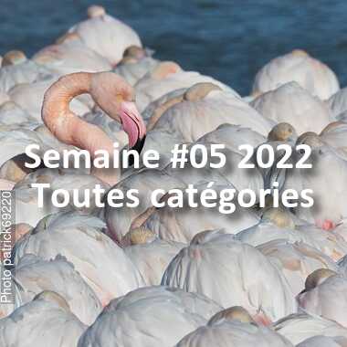 fotoduelo Semaine #05 2022 - Toutes catégories
