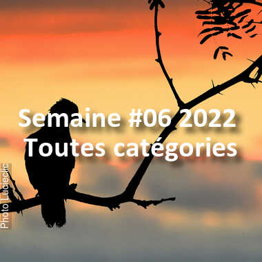 fotoduelo Semaine #06 2022 - Toutes catégories