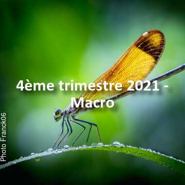 fotoduelo 4ème trimestre 2021 - Macro