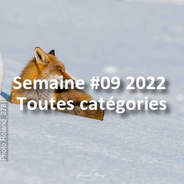 fotoduelo Semaine #09 2022 - Toutes catégories