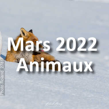 fotoduelo Mars 2022 - Animaux