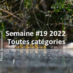 fotoduelo Semaine #19 2022 - Toutes catégories