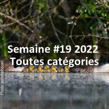fotoduelo Semaine #19 2022 - Toutes catégories