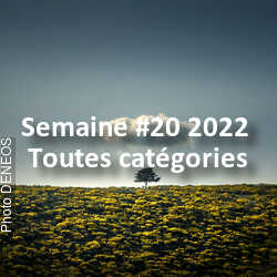 fotoduelo Semaine #20 2022 - Toutes catégories