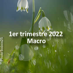 fotoduelo 1er trimestre 2022 - Macro