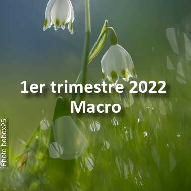fotoduelo 1er trimestre 2022 - Macro