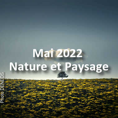 fotoduelo Mai 2022 - Nature et Paysage