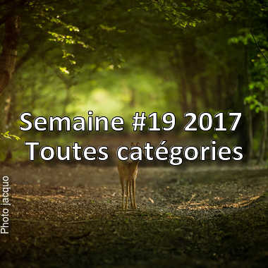 fotoduelo Semaine #19 2017 - Toutes catégories