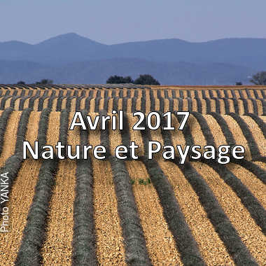 fotoduelo Avril 2017 - Nature et Paysage