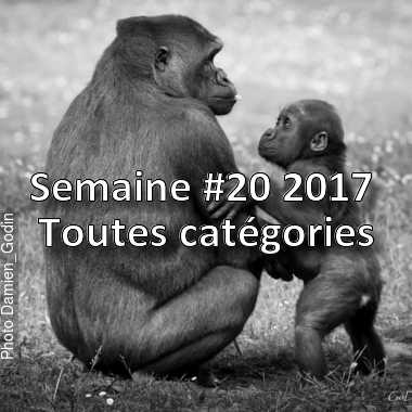 fotoduelo Semaine #20 2017 - Toutes catégories