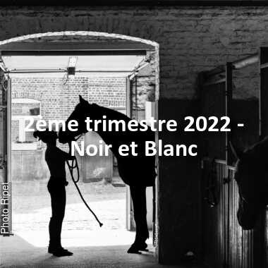 fotoduelo 2ème trimestre 2022 - Noir et Blanc