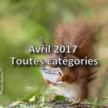 fotoduelo Avril 2017 - Toutes catégories