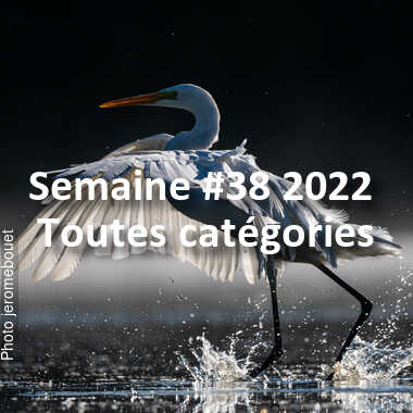 fotoduelo Semaine #38 2022 - Toutes catégories