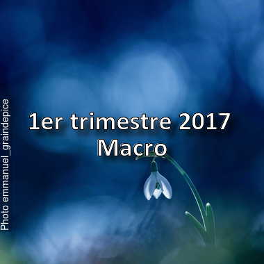 fotoduelo 1er trimestre 2017 - Macro