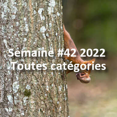 fotoduelo Semaine #42 2022 - Toutes catégories