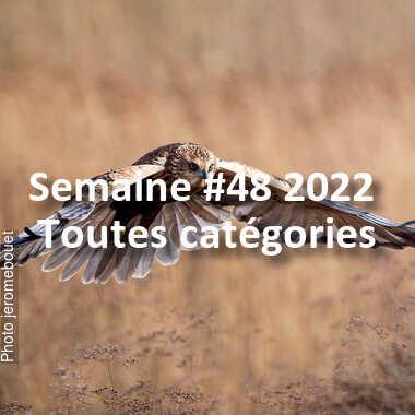 fotoduelo Semaine #48 2022 - Toutes catégories