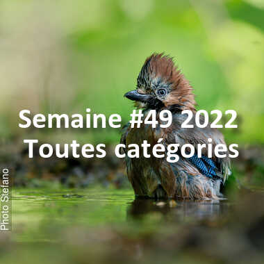 fotoduelo Semaine #49 2022 - Toutes catégories