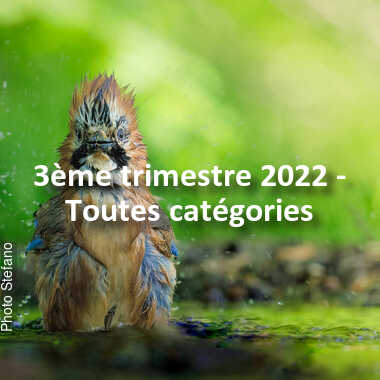 fotoduelo 3ème trimestre 2022 - Toutes catégories